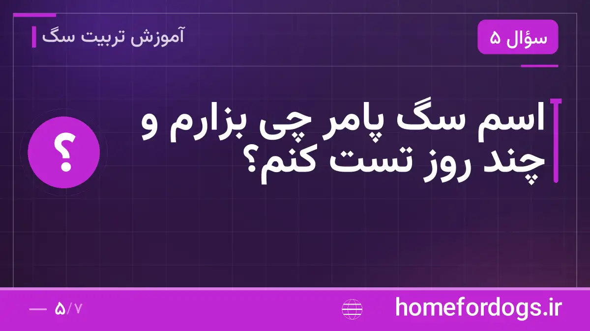 اسم سگ پامر چی بزارم و چند روز تست کنم؟
