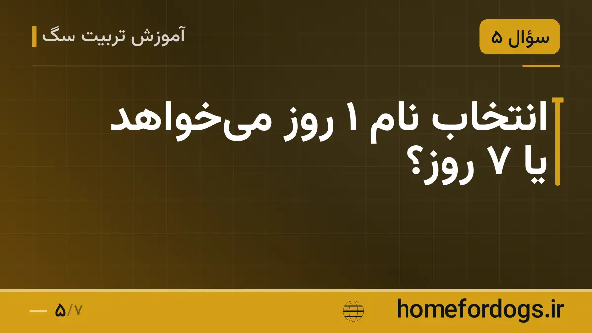 انتخاب نام ۱ روز می‌خواهد یا ۷ روز؟