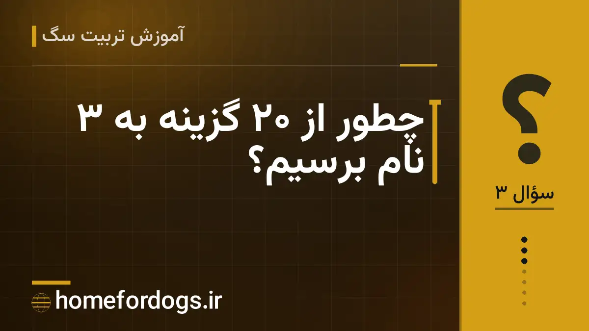 چطور از ۲۰ گزینه به ۳ نام برسیم؟