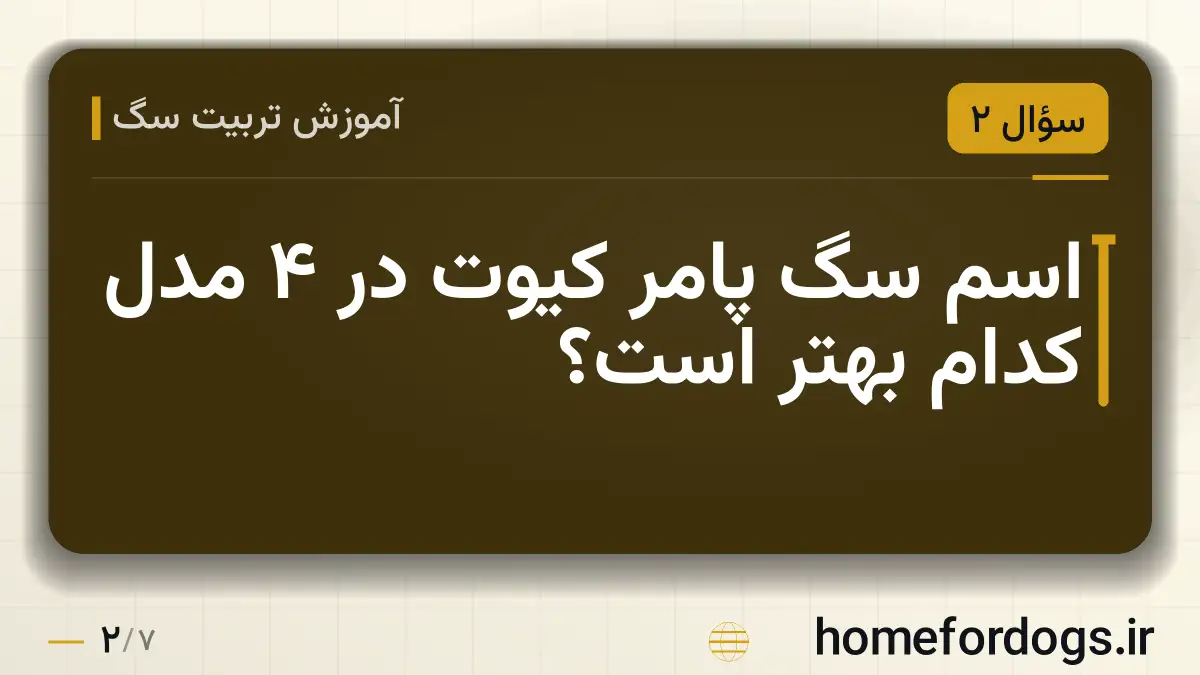 اسم سگ پامر کیوت در ۴ مدل کدام بهتر است؟