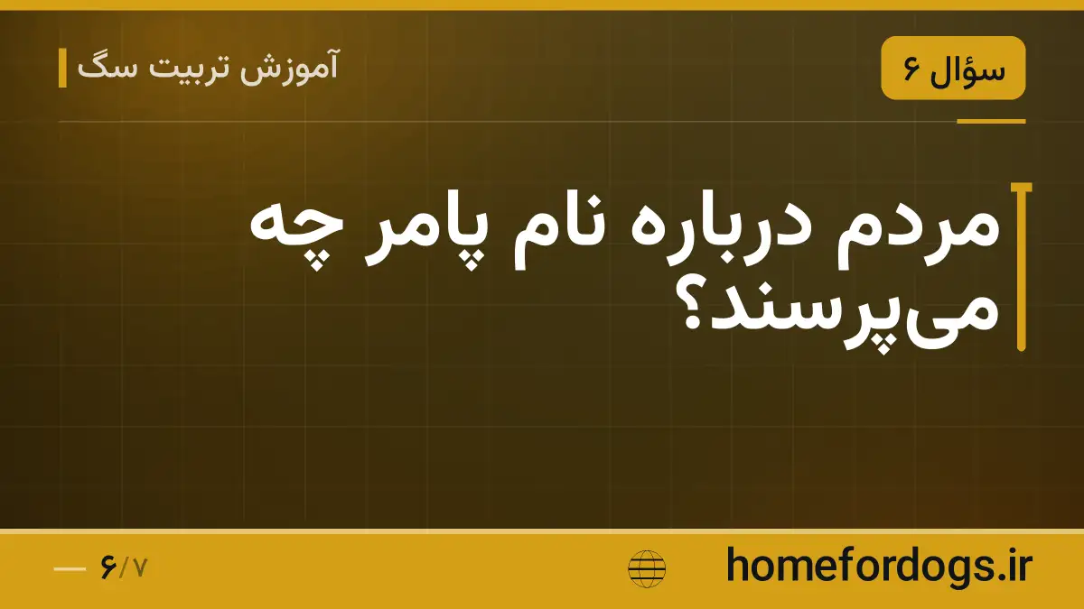 مردم درباره نام پامر چه می‌پرسند؟