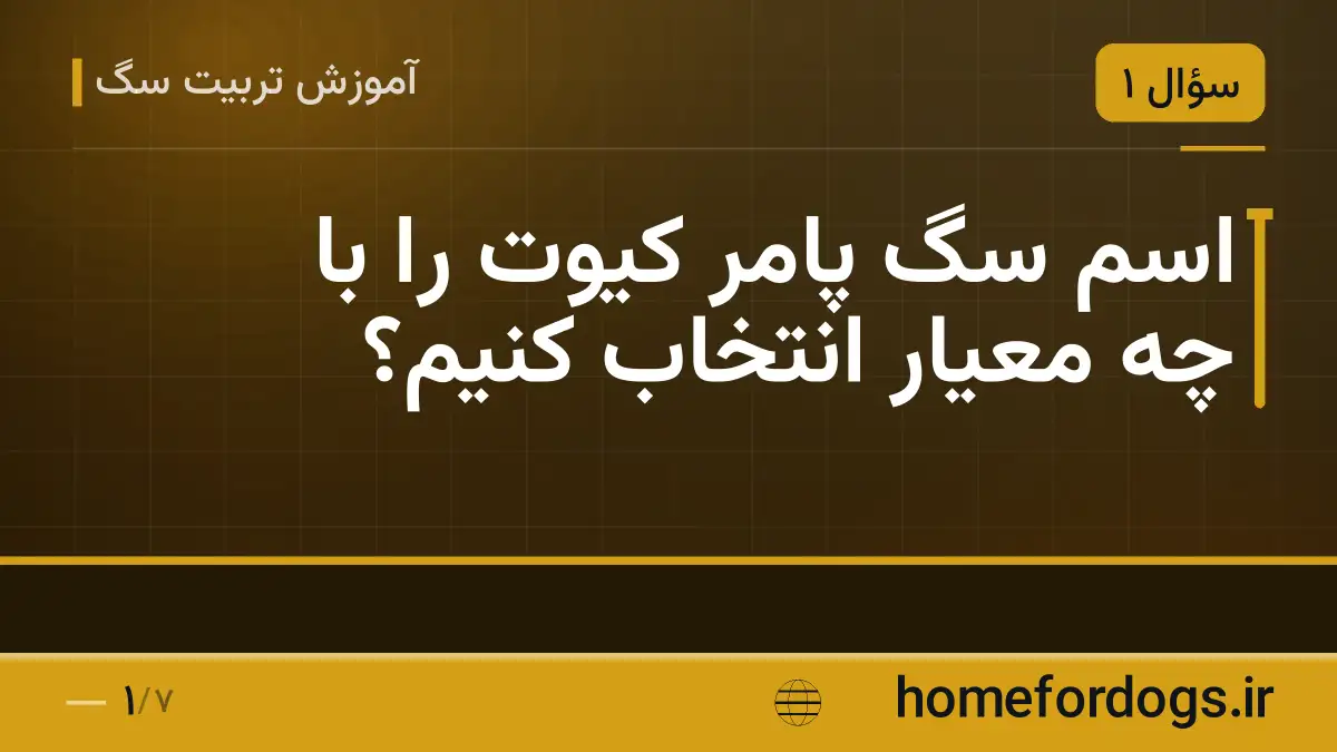 اسم سگ پامر کیوت را با چه معیار انتخاب کنیم؟