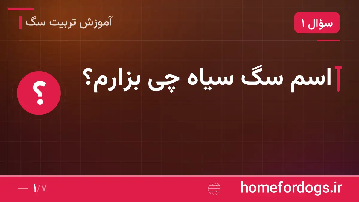 اسم سگ سیاه چی بزارم؟