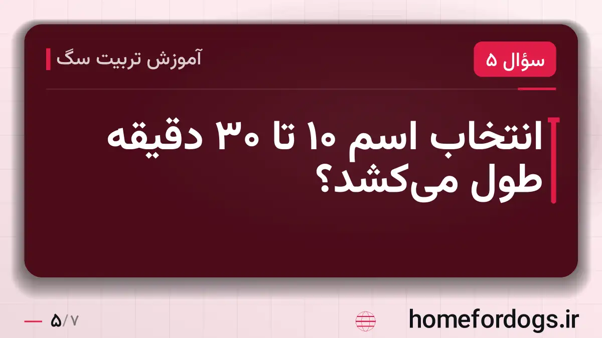 انتخاب اسم ۱۰ تا ۳۰ دقیقه طول می‌کشد؟