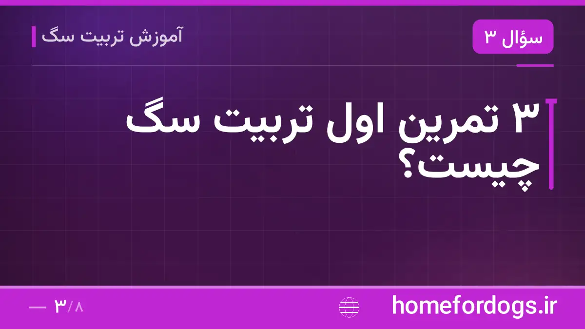 ۳ تمرین اول تربیت سگ چیست؟