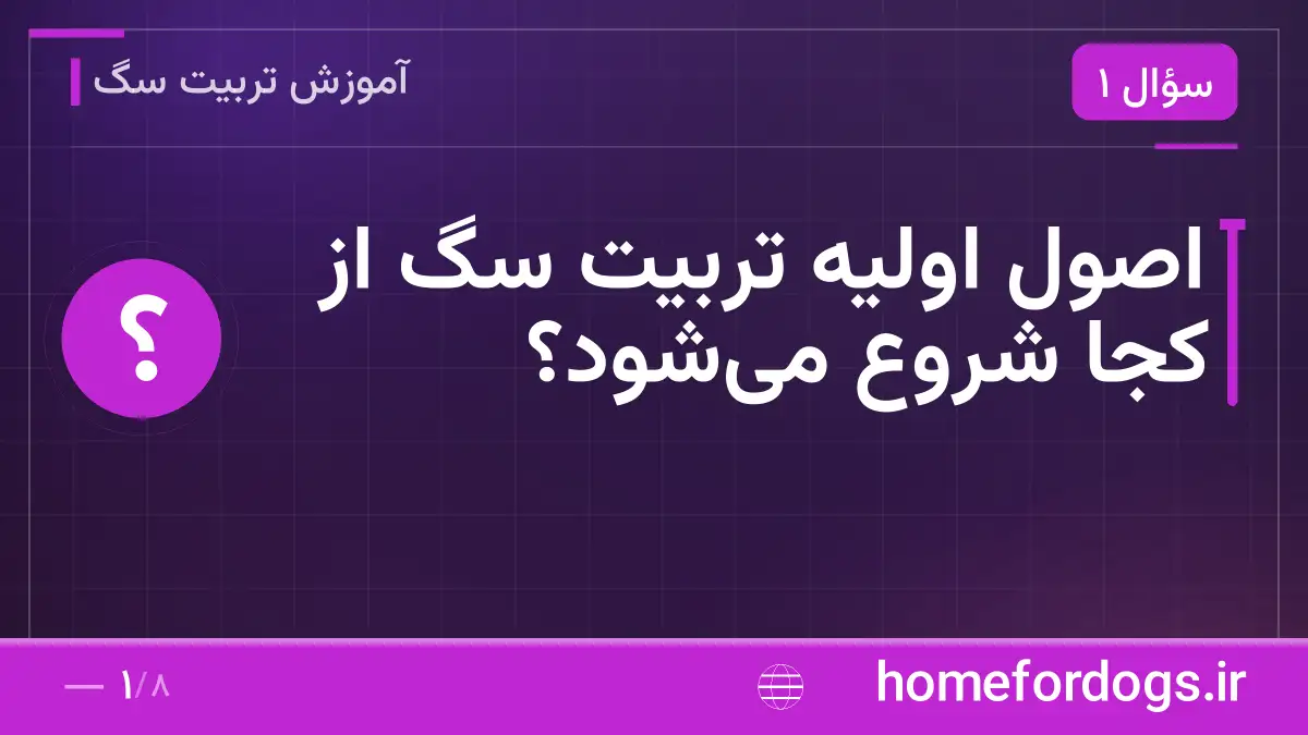 اصول اولیه تربیت سگ از کجا شروع میشود؟