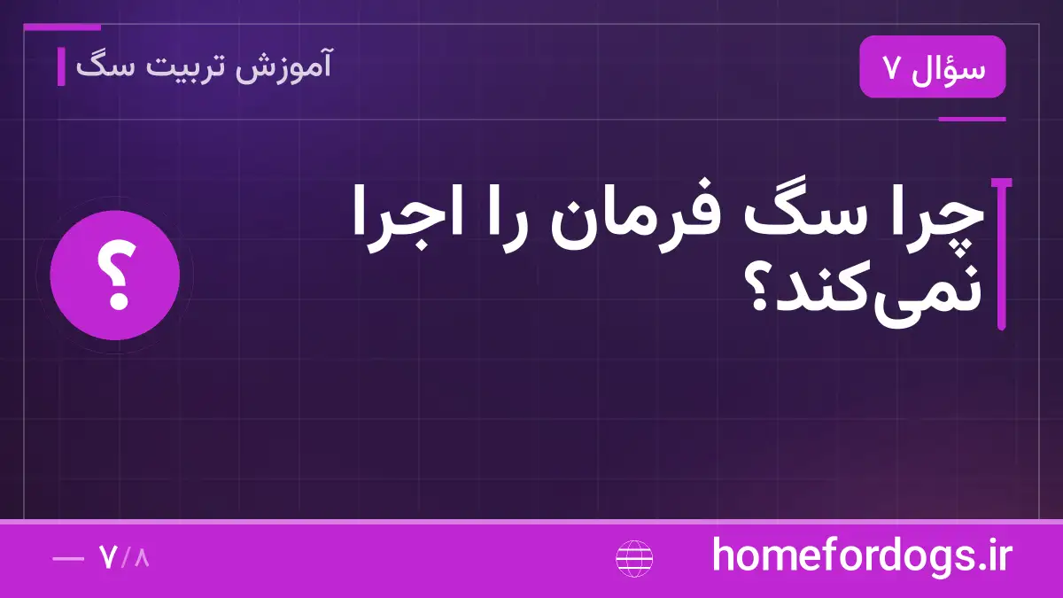 چرا سگ فرمان را اجرا نمیکند؟