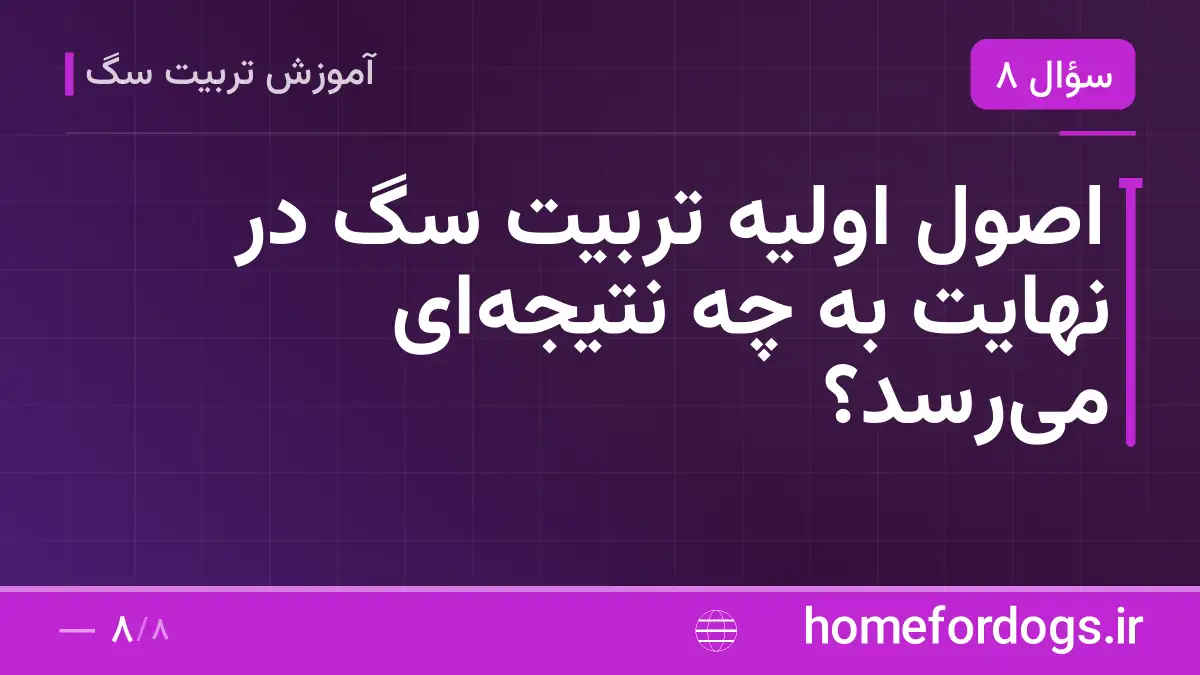 اصول اولیه تربیت سگ در نهایت به چه نتیجهای میرسد؟