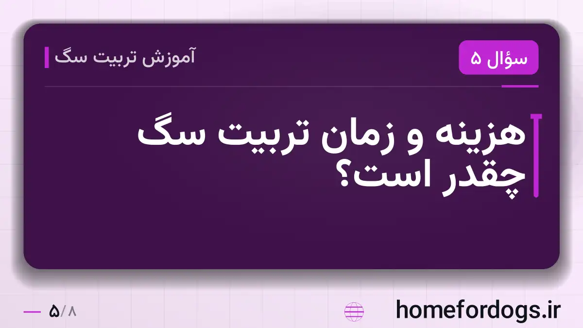 هزینه و زمان تربیت سگ چقدر است؟
