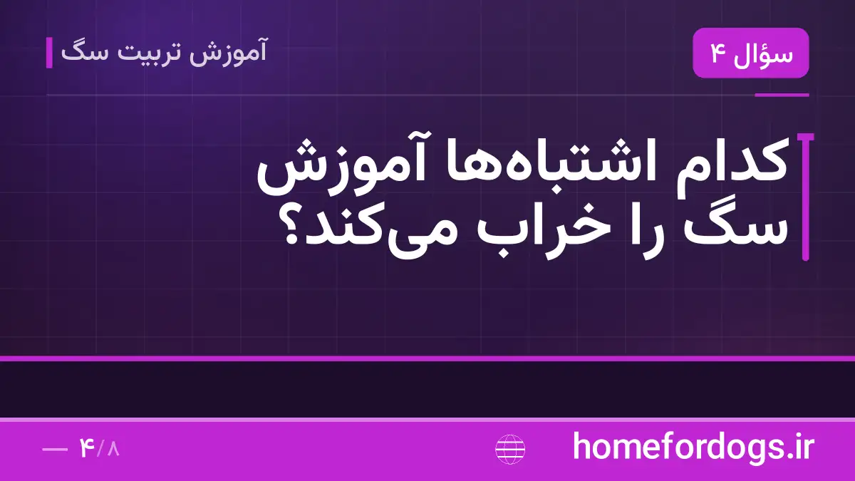 کدام اشتباهها آموزش سگ را خراب میکند؟