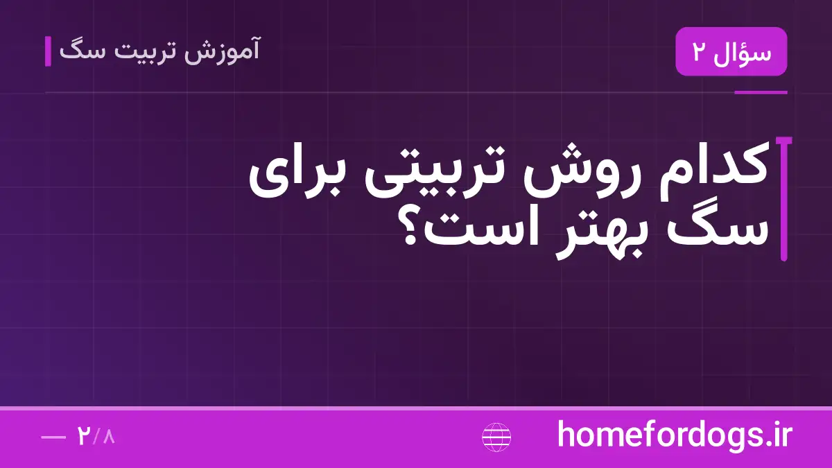 کدام روش تربیتی برای سگ بهتر است؟