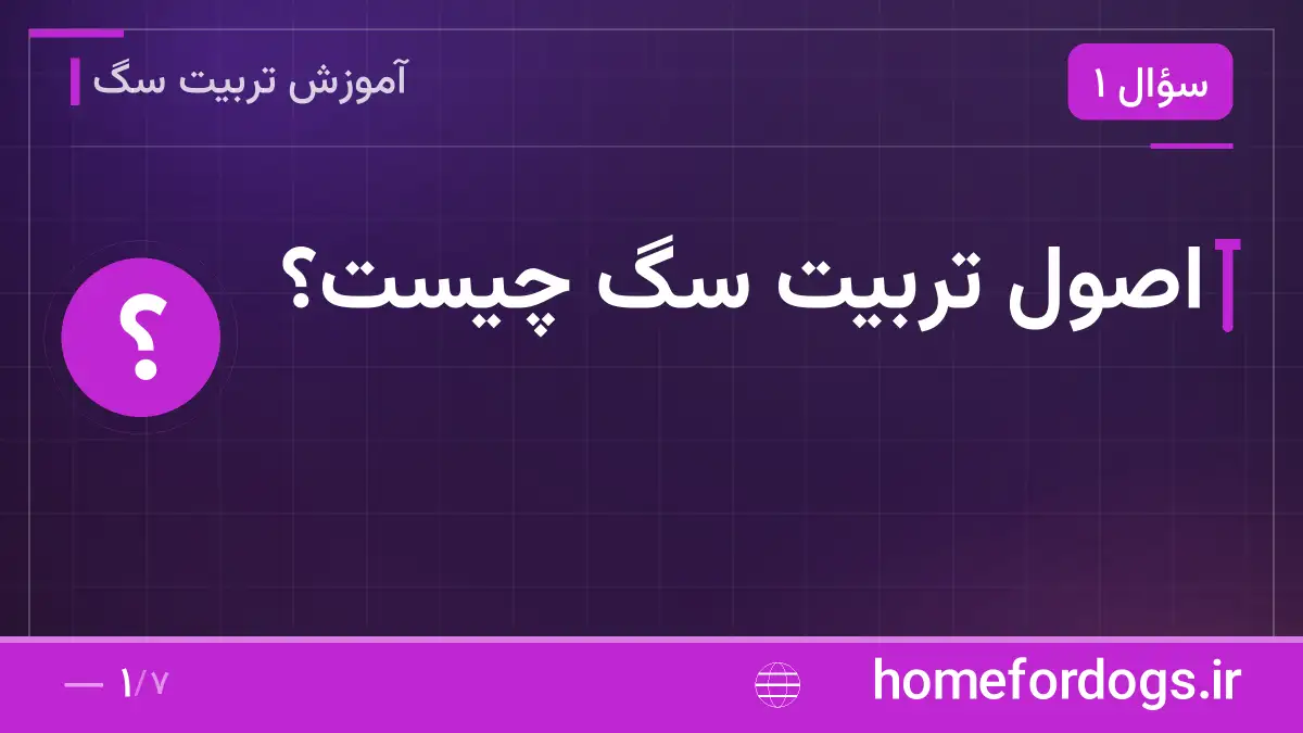 اصول تربیت سگ چیست؟