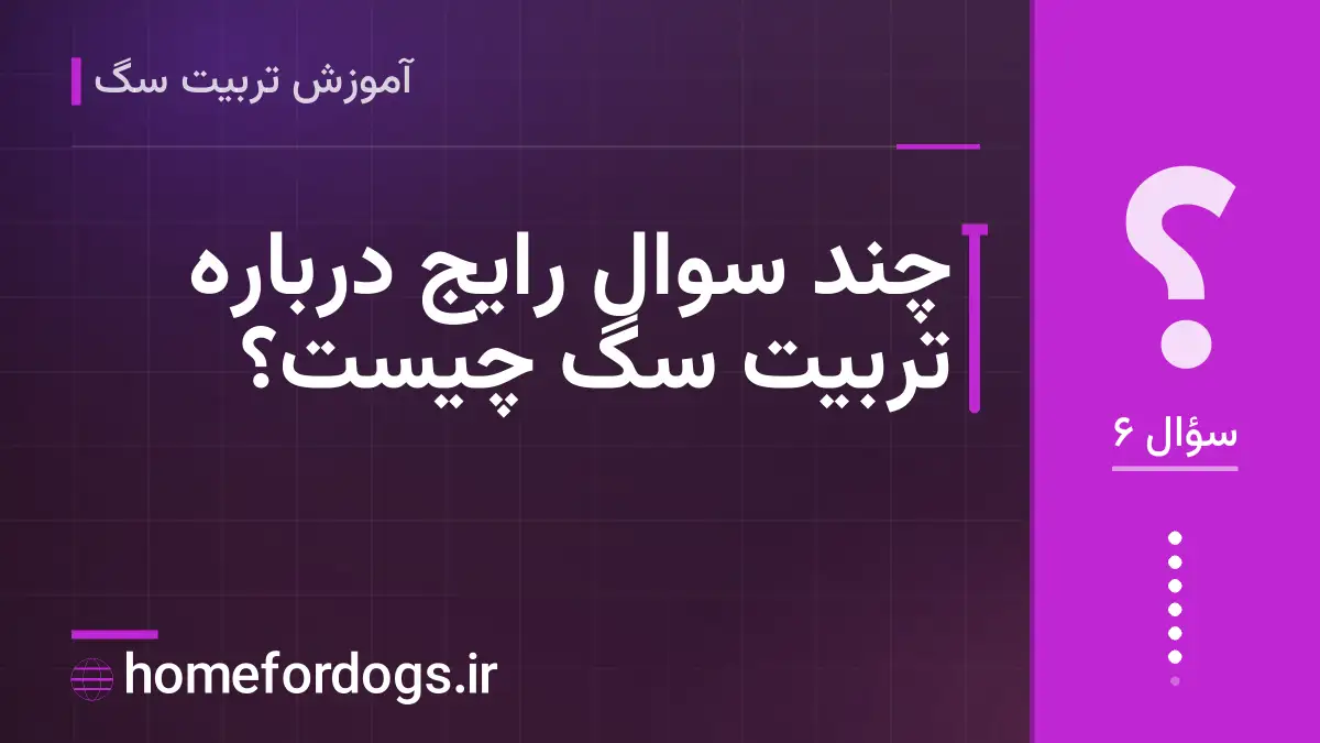 چند سوال رایج درباره تربیت سگ چیست؟