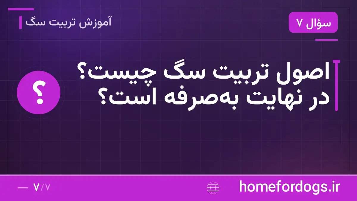 اصول تربیت سگ چیست؟ در نهایت به‌صرفه است؟
