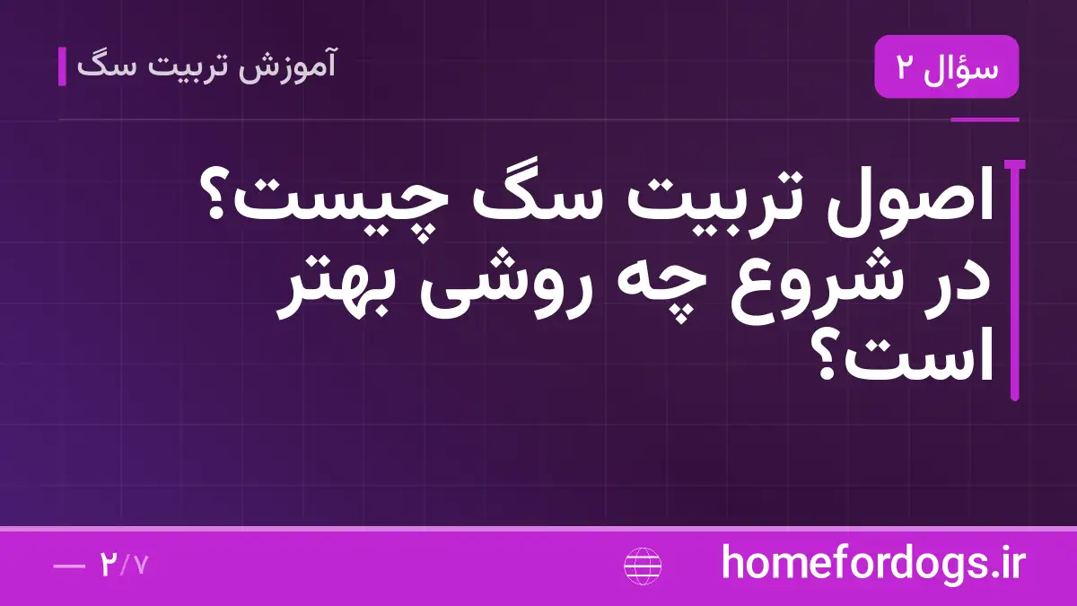 اصول تربیت سگ چیست؟ در شروع چه روشی بهتر است؟