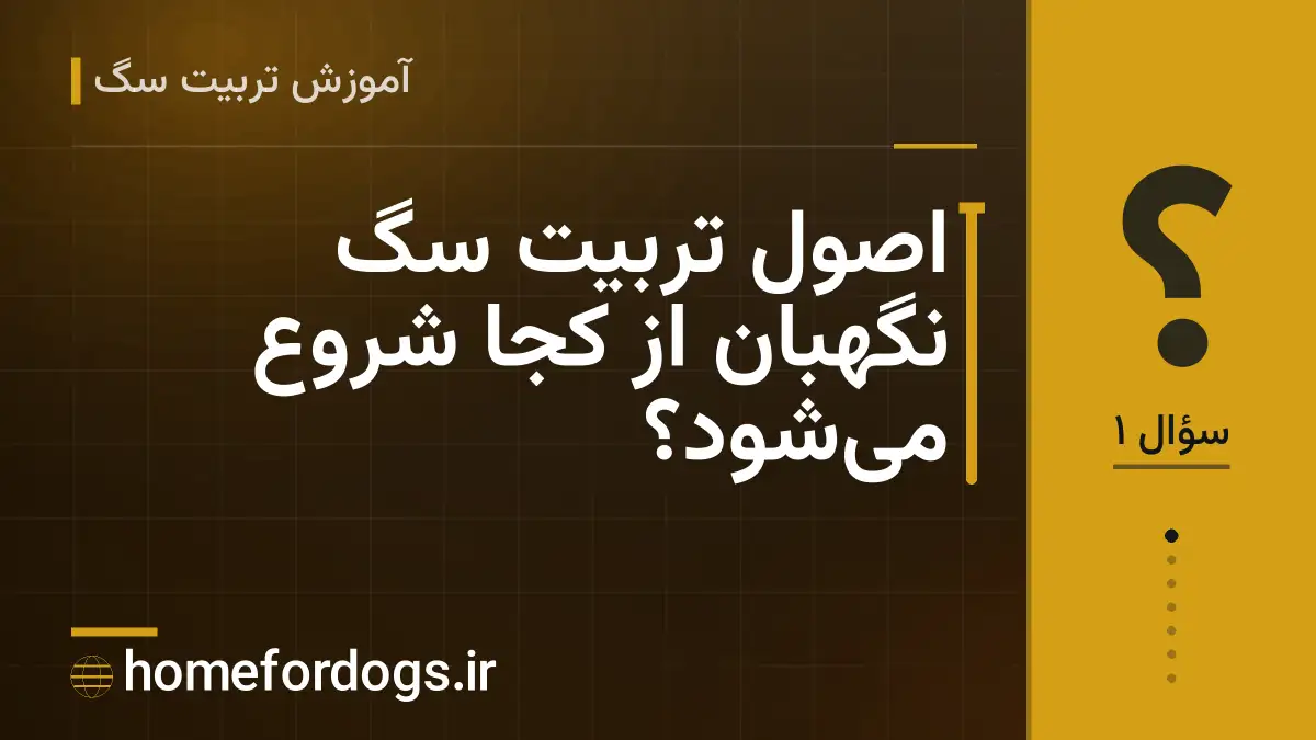 اصول تربیت سگ نگهبان از کجا شروع می‌شود؟