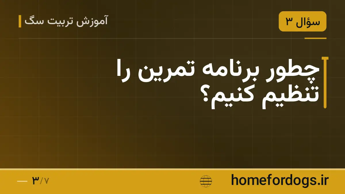 چطور برنامه تمرین را تنظیم کنیم؟