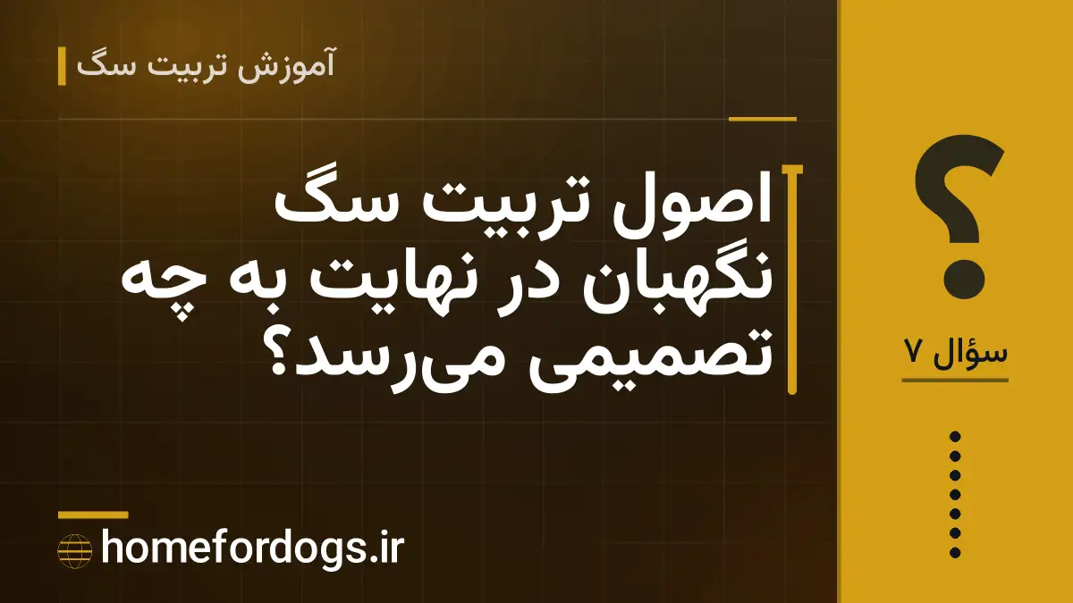 اصول تربیت سگ نگهبان در نهایت به چه تصمیمی می‌رسد؟
