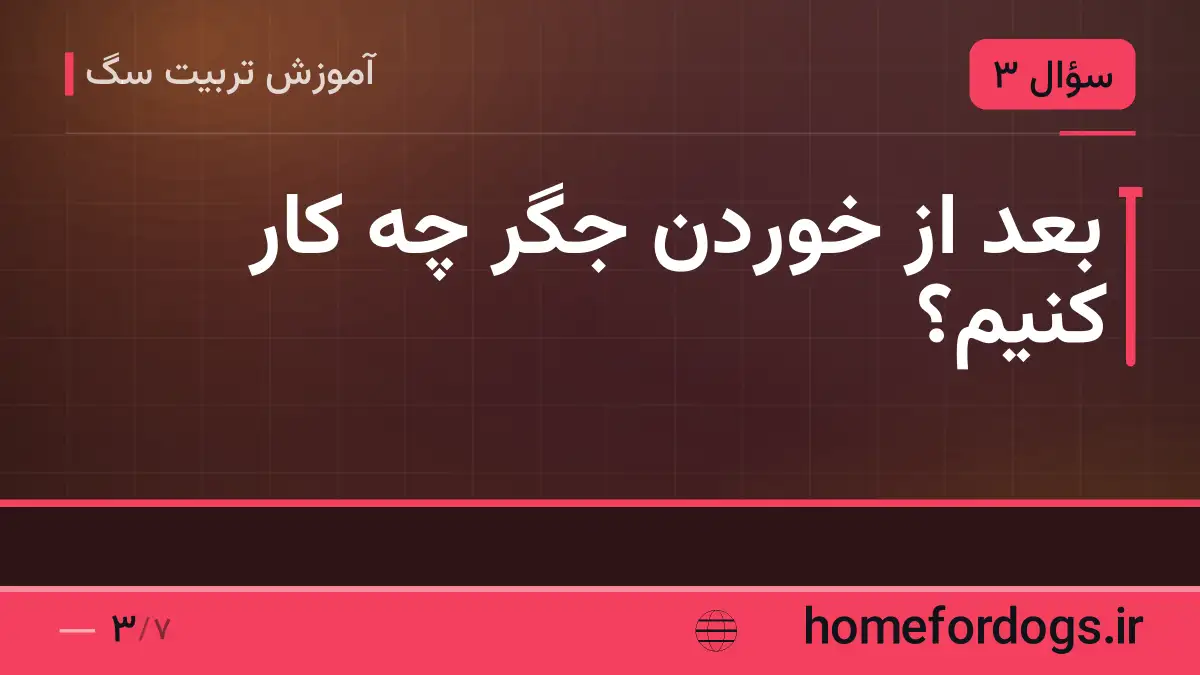 بعد از خوردن جگر چه کار کنیم؟