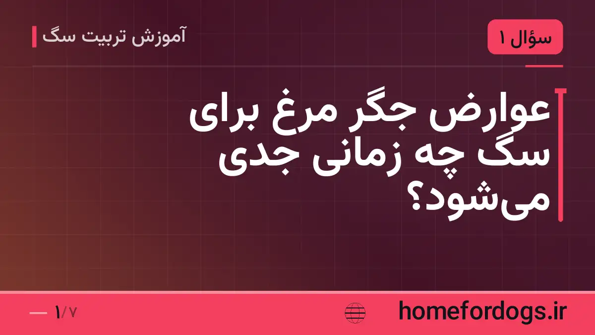 عوارض جگر مرغ برای سگ چه زمانی جدی می‌شود؟