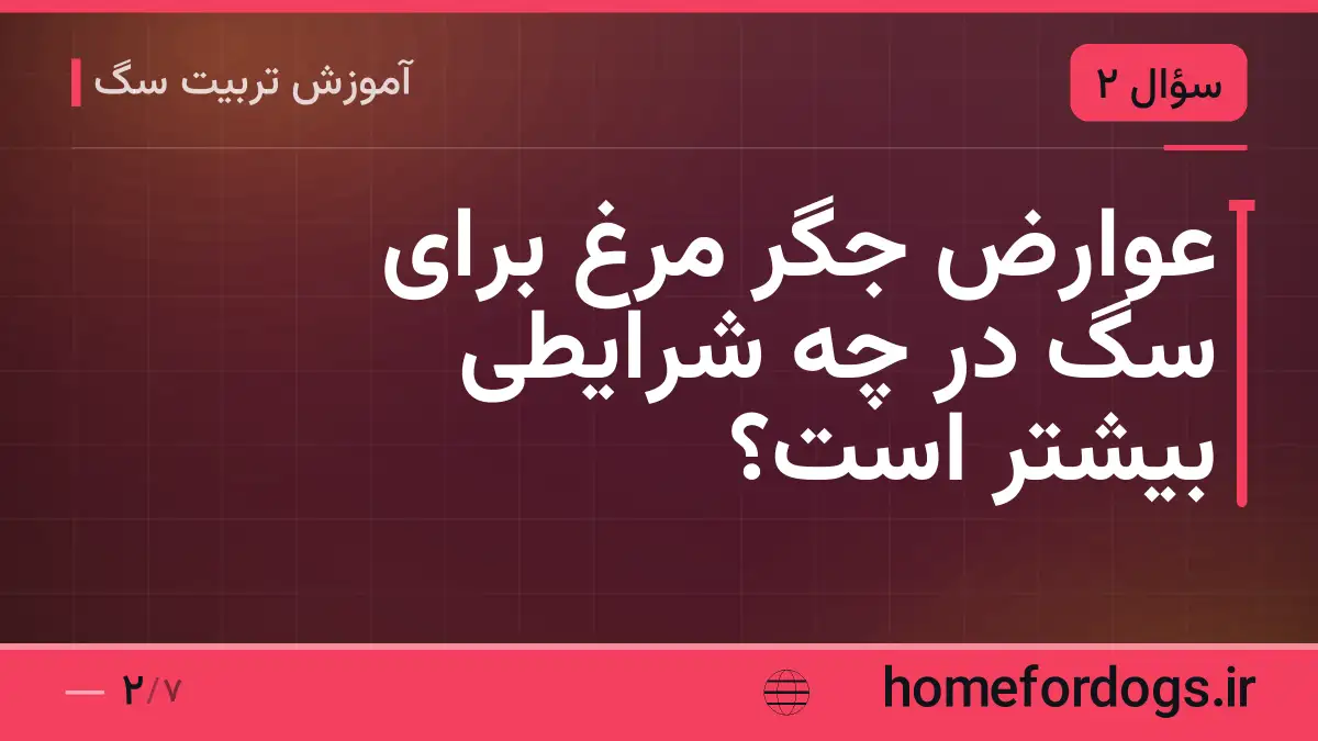 عوارض جگر مرغ برای سگ در چه شرایطی بیشتر است؟