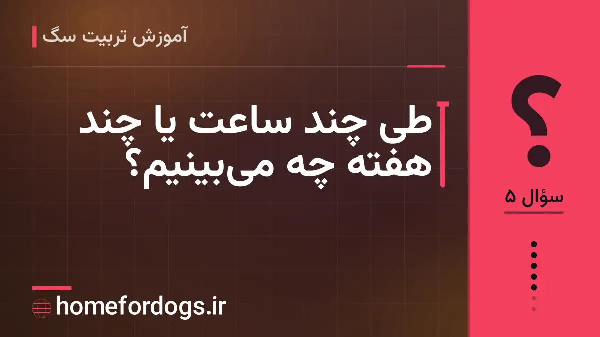 طی چند ساعت یا چند هفته چه می‌بینیم؟