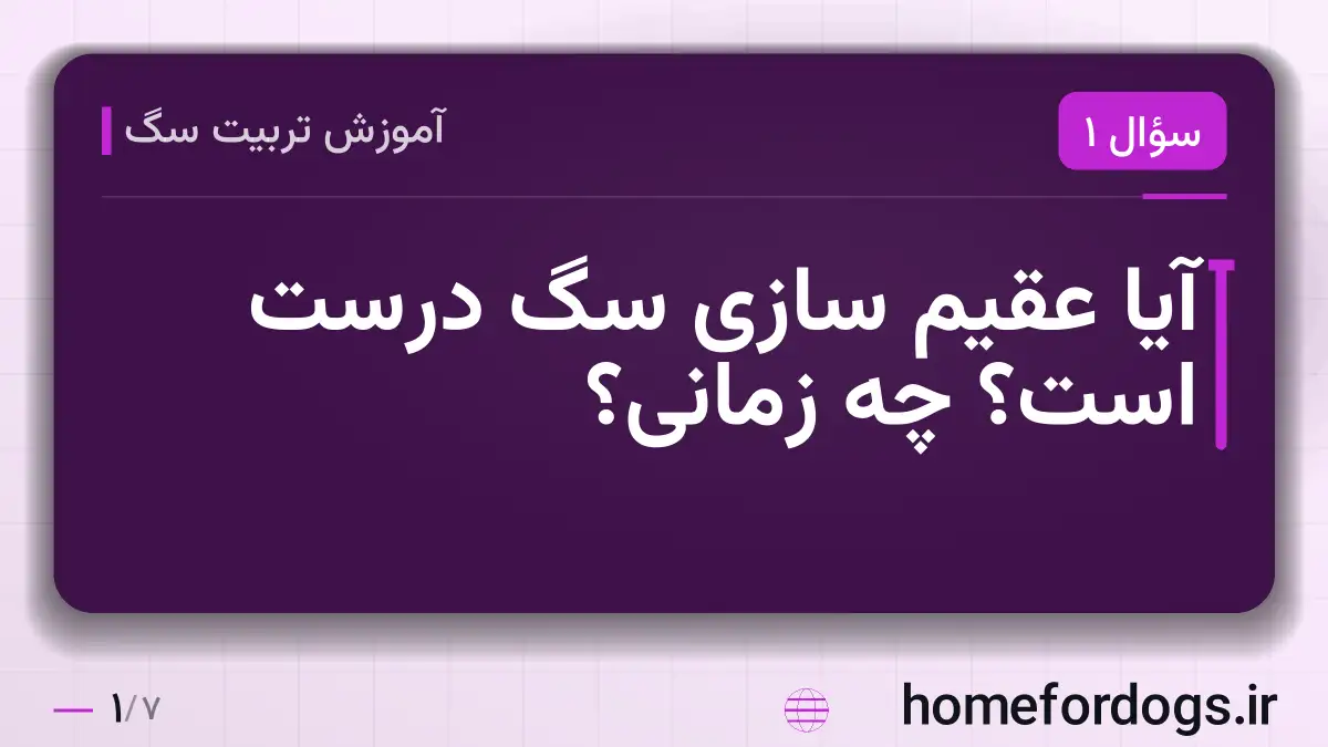 آیا عقیم سازی سگ درست است؟ چه زمانی؟