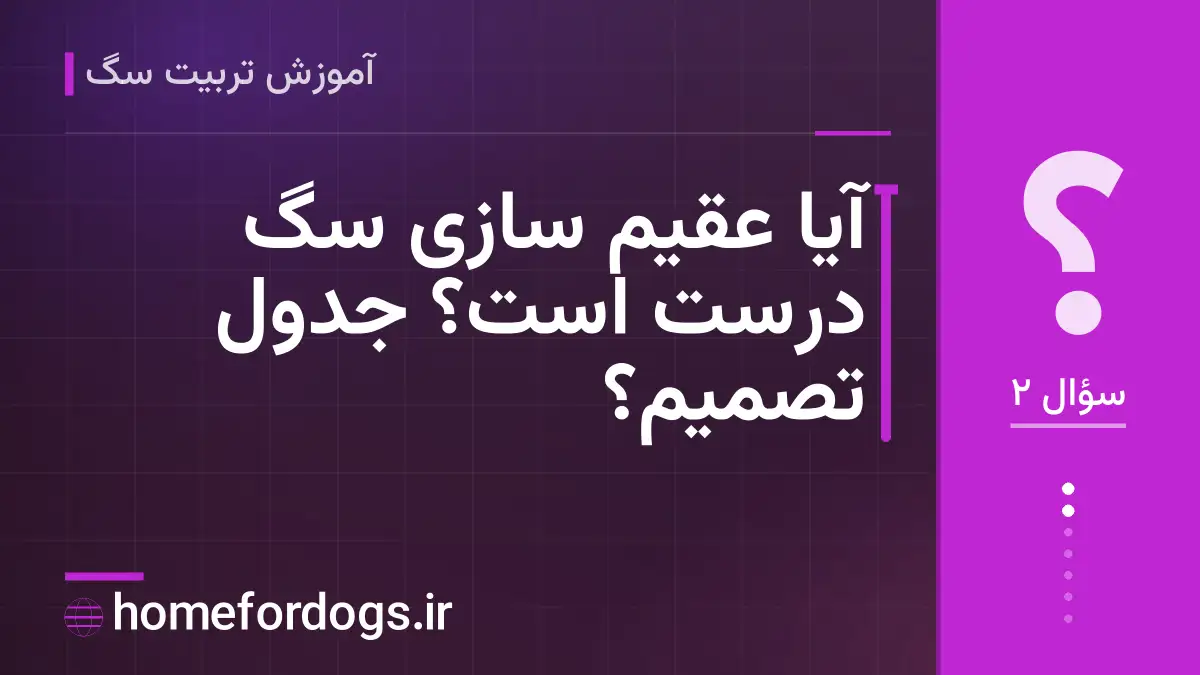 آیا عقیم سازی سگ درست است؟ جدول تصمیم؟