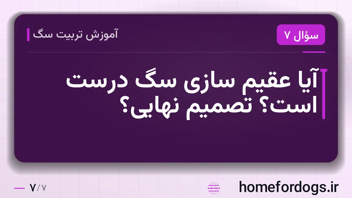 آیا عقیم سازی سگ درست است؟ تصمیم نهایی؟