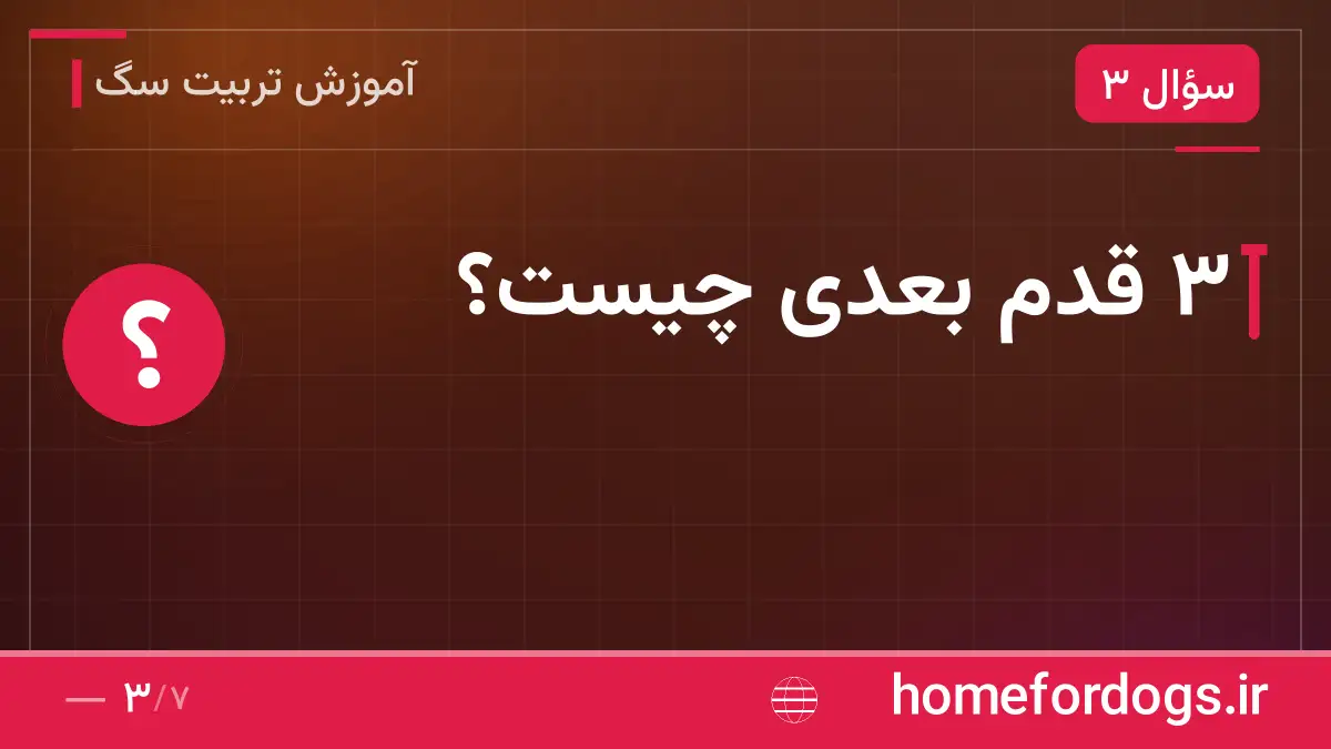 ۳ قدم بعدی چیست؟