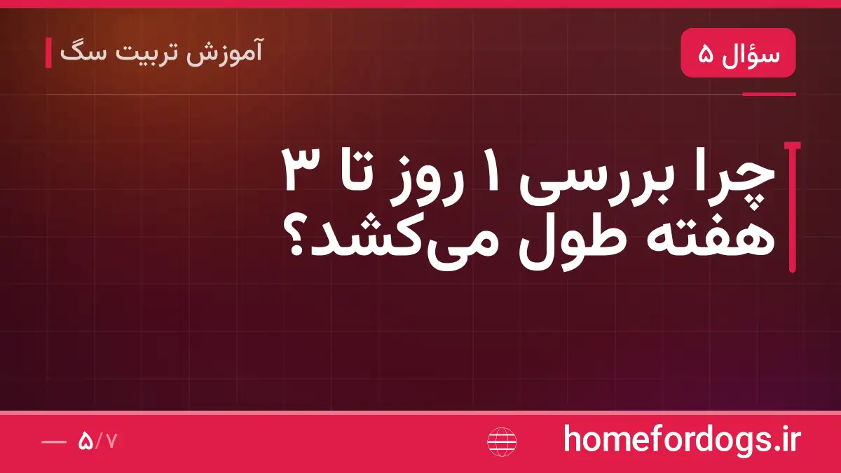 چرا بررسی ۱ روز تا ۳ هفته طول میکشد؟