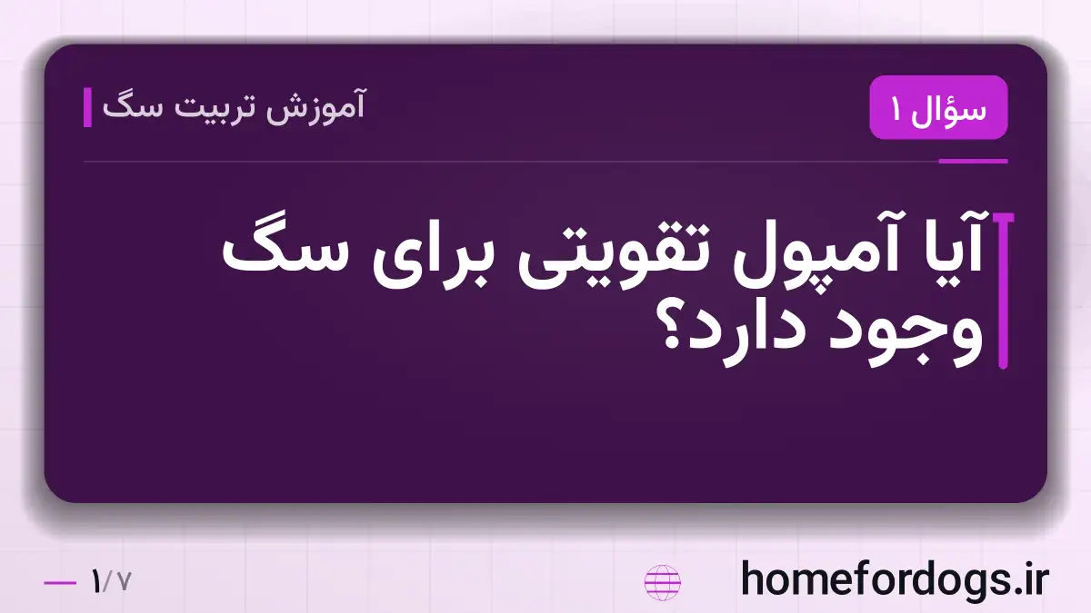 آیا آمپول تقویتی برای سگ وجود دارد؟
