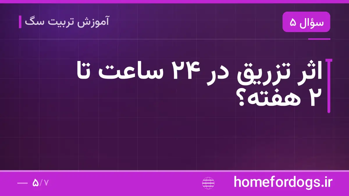 اثر تزریق در ۲۴ ساعت تا ۲ هفته؟