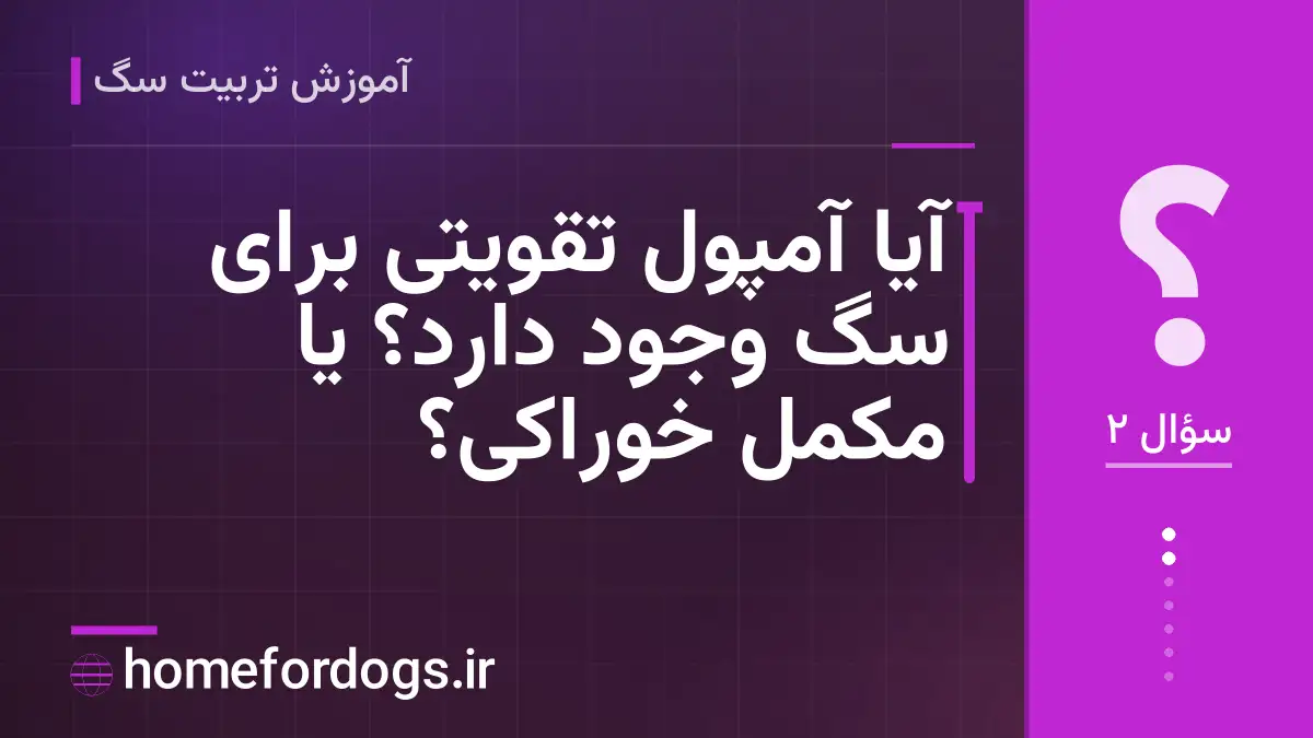 آیا آمپول تقویتی برای سگ وجود دارد؟ یا مکمل خوراکی؟