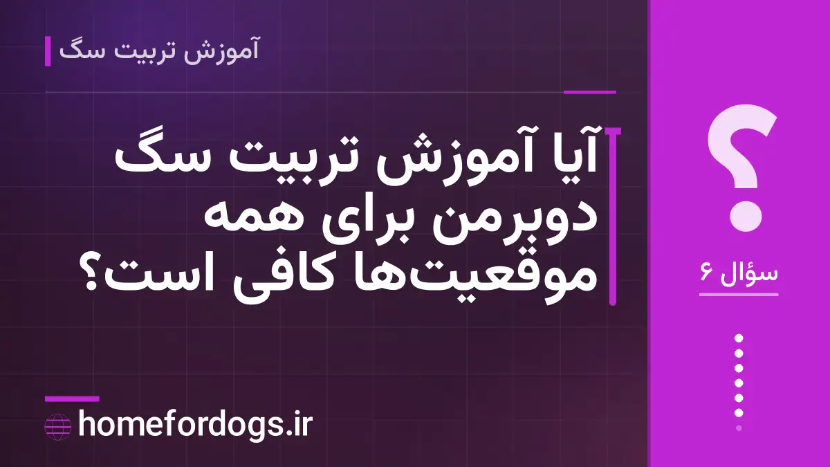 آیا آموزش تربیت سگ دوبرمن برای همه موقعیت‌ها کافی است؟