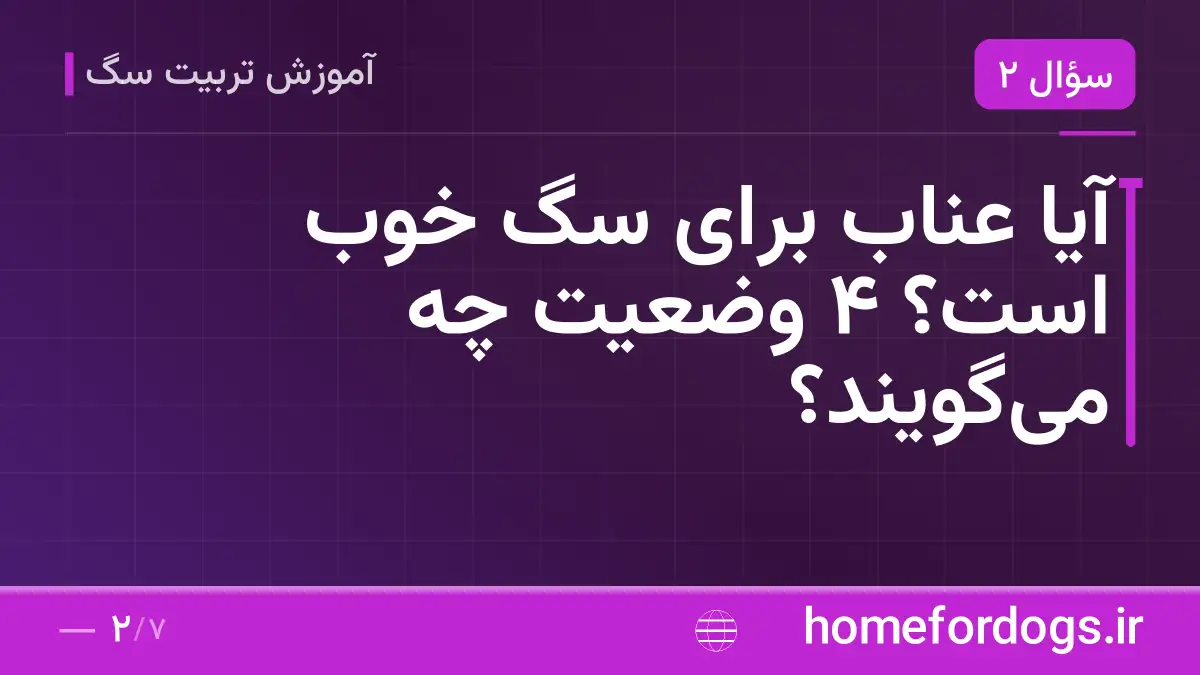 آیا عناب برای سگ خوب است؟ ۴ وضعیت چه می‌گویند؟