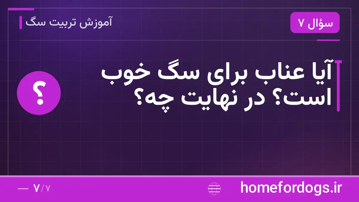 آیا عناب برای سگ خوب است؟ در نهایت چه؟