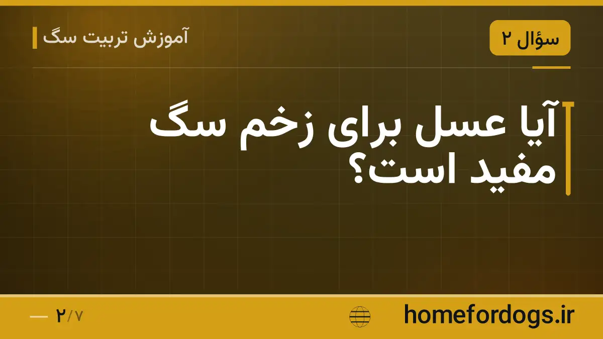 آیا عسل برای زخم سگ مفید است؟