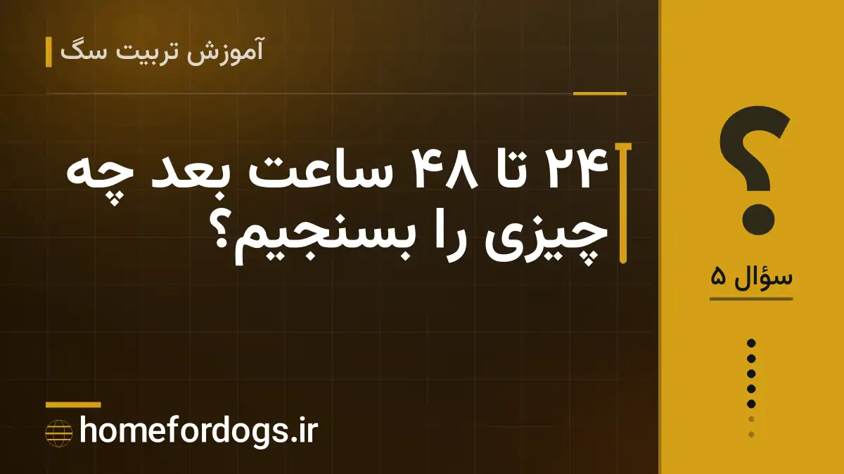 ۲۴ تا ۴۸ ساعت بعد چه چیزی را بسنجیم؟