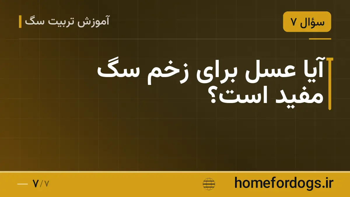 آیا عسل برای زخم سگ مفید است؟