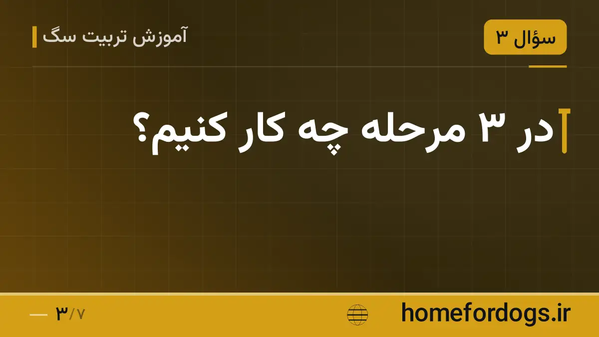 در ۳ مرحله چه کار کنیم؟