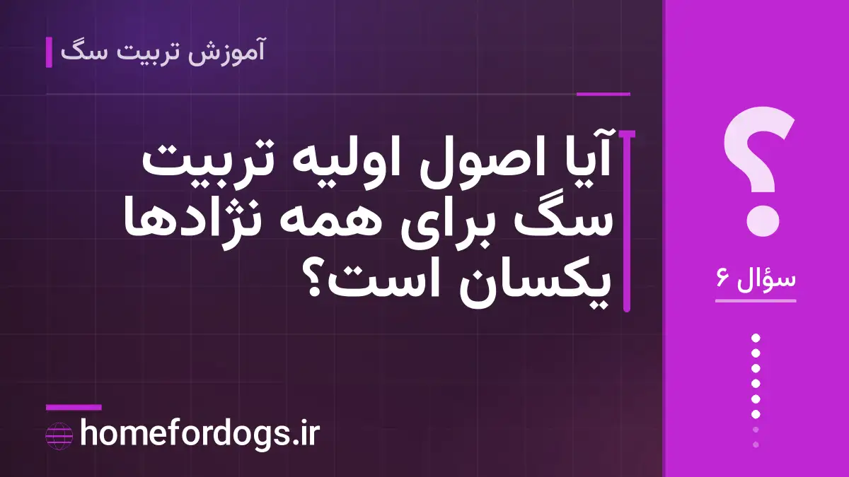 آیا اصول اولیه تربیت سگ برای همه نژادها یکسان است؟