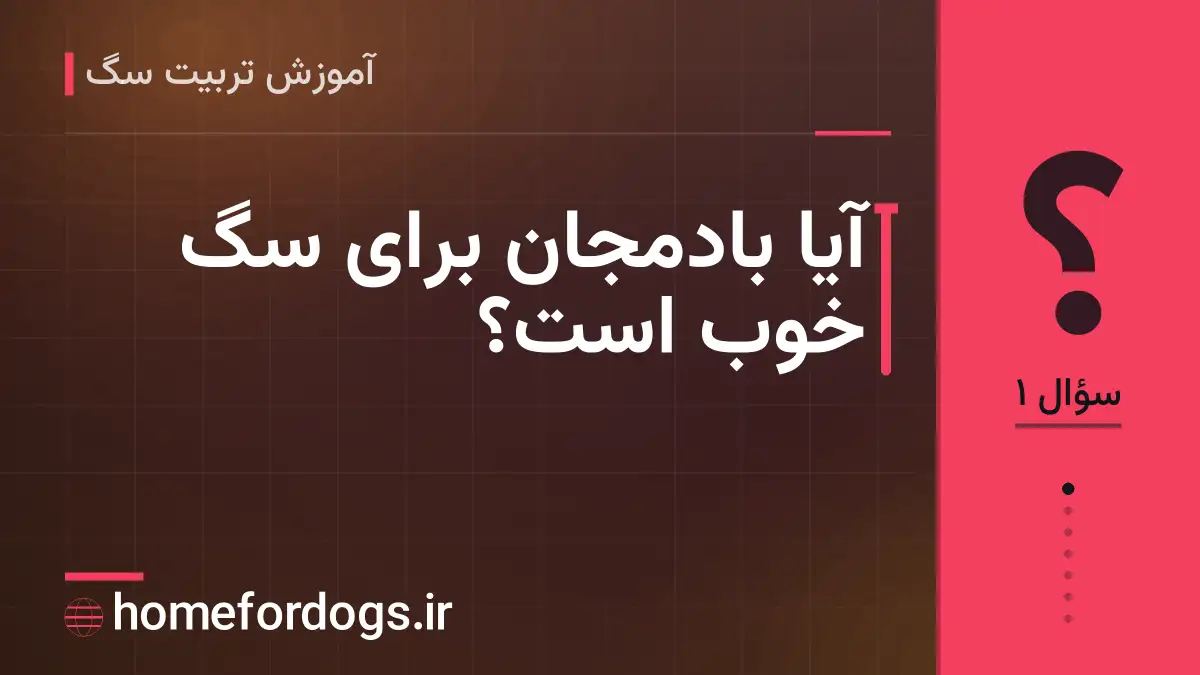 آیا بادمجان برای سگ خوب است؟