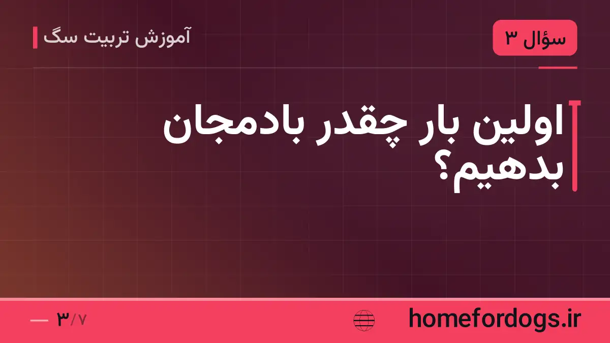 اولین بار چقدر بادمجان بدهیم؟