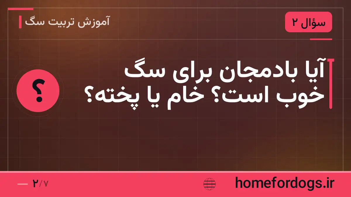 آیا بادمجان برای سگ خوب است؟ خام یا پخته؟
