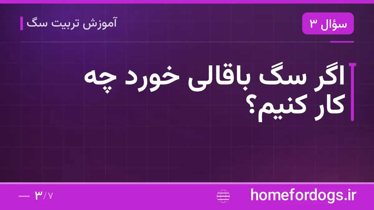 اگر سگ باقالی خورد چه کار کنیم؟