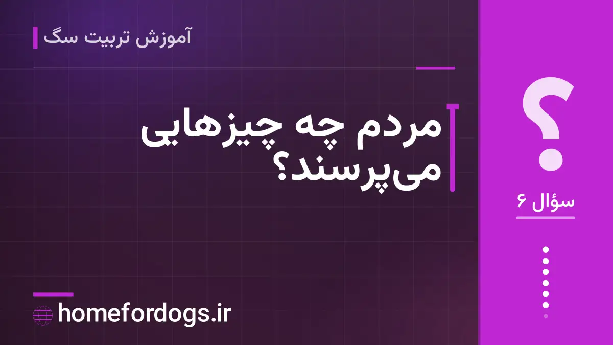 مردم چه چیزهایی می‌پرسند؟