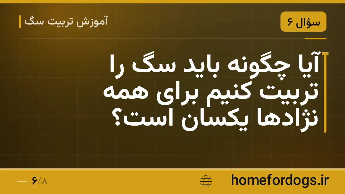 آیا چگونه باید سگ را تربیت کنیم برای همه نژادها یکسان است؟
