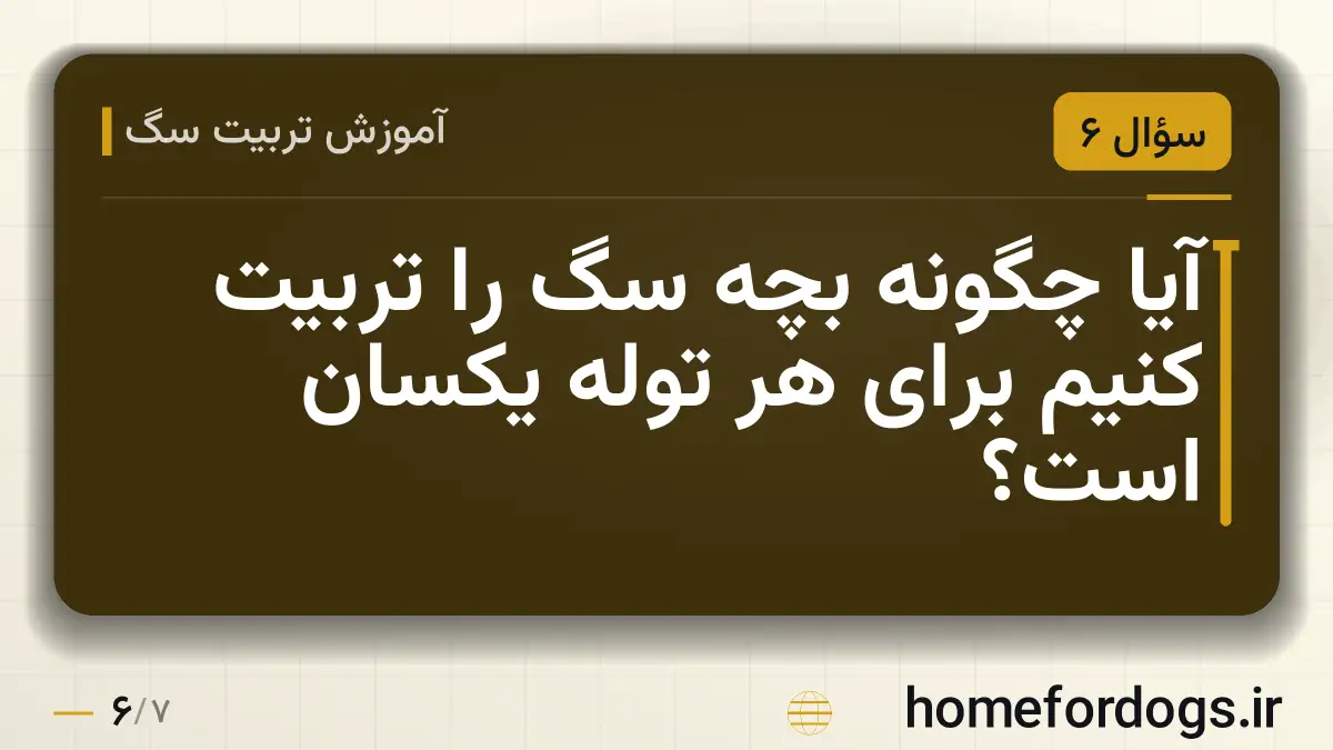آیا چگونه بچه سگ را تربیت کنیم برای هر توله یکسان است؟