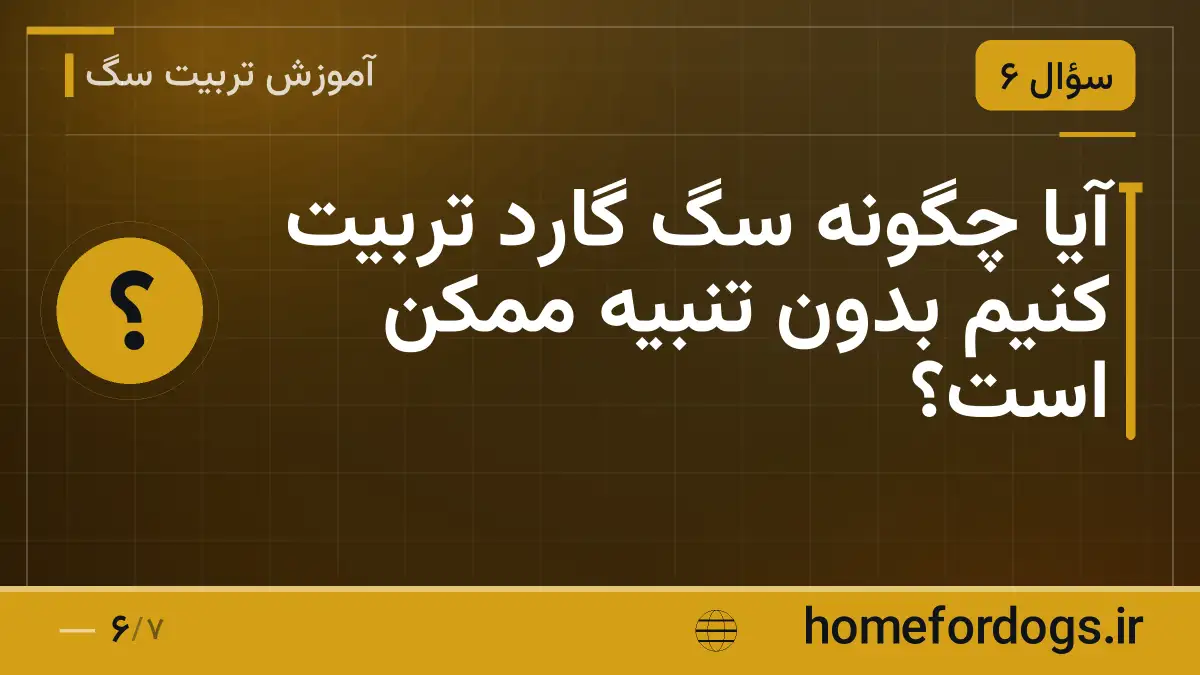 آیا چگونه سگ گارد تربیت کنیم بدون تنبیه ممکن است؟
